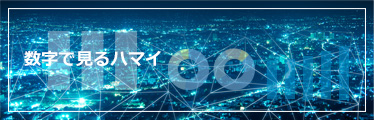 数字で見るハマイ